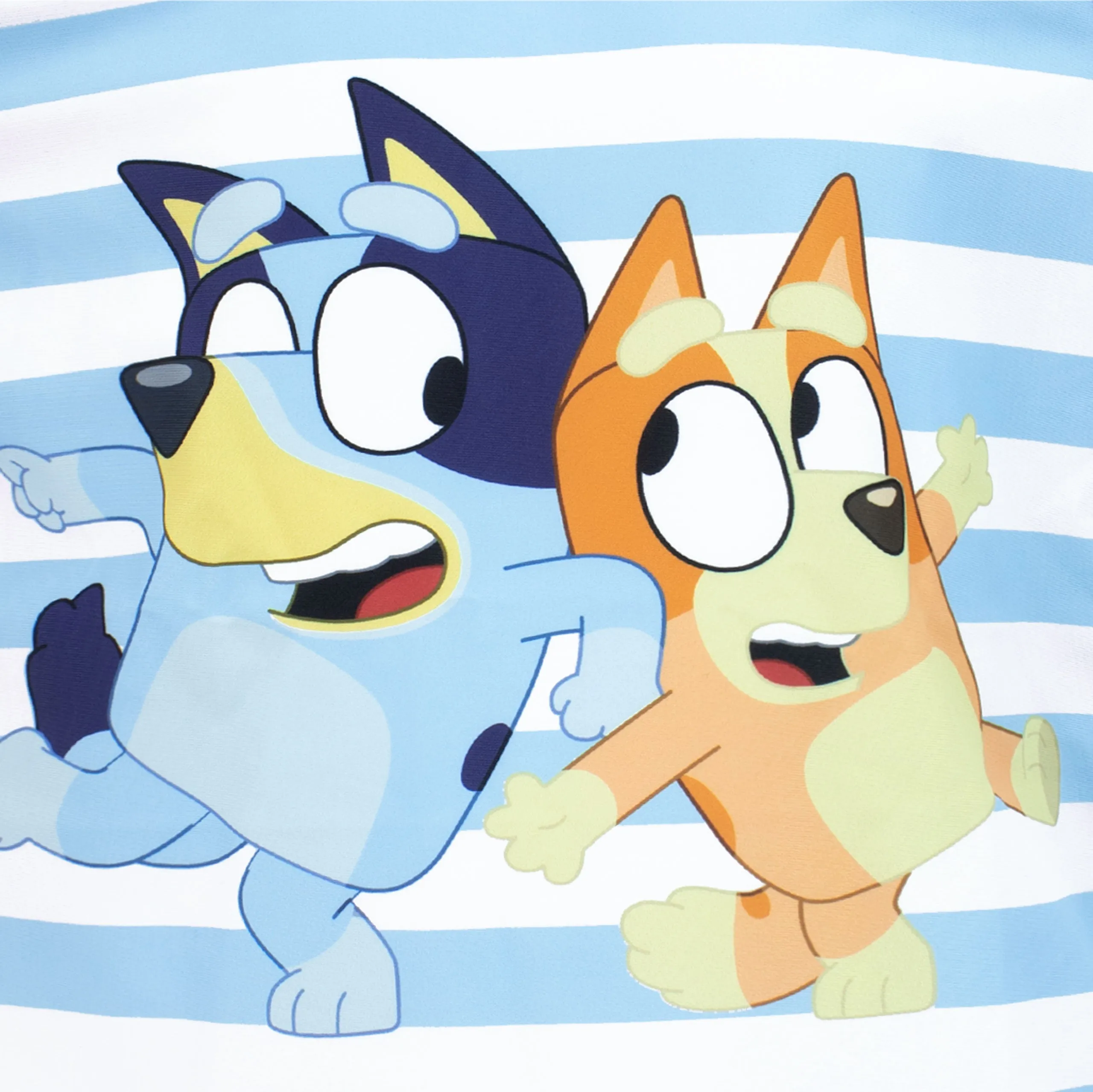 Bluey Boys Swim Set